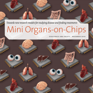 English version of Mini Organs on Chips is now available NOCI